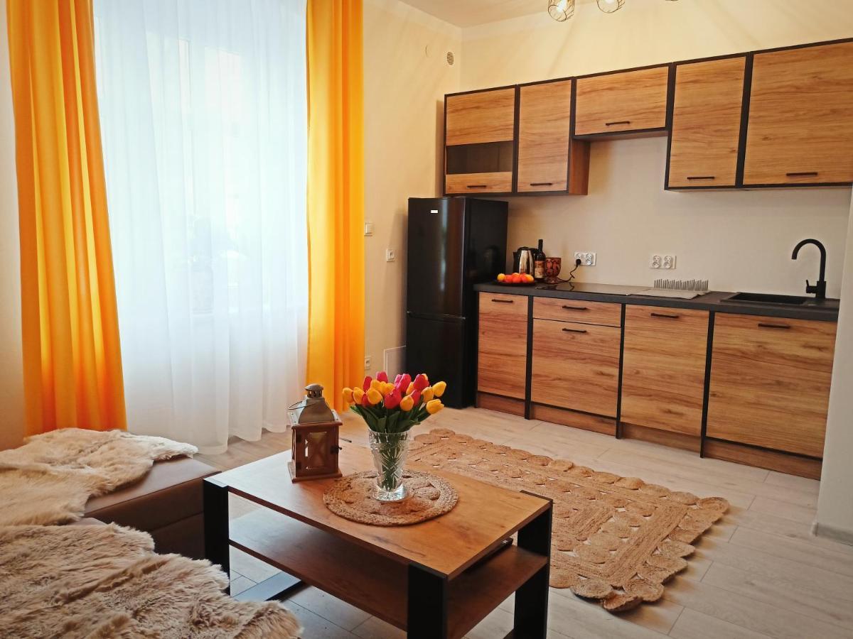 Apartament Celebrity Διαμέρισμα Leśna Εξωτερικό φωτογραφία