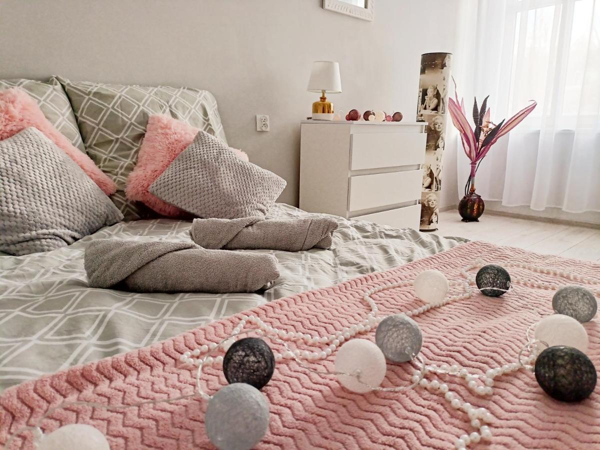 Apartament Celebrity Διαμέρισμα Leśna Εξωτερικό φωτογραφία