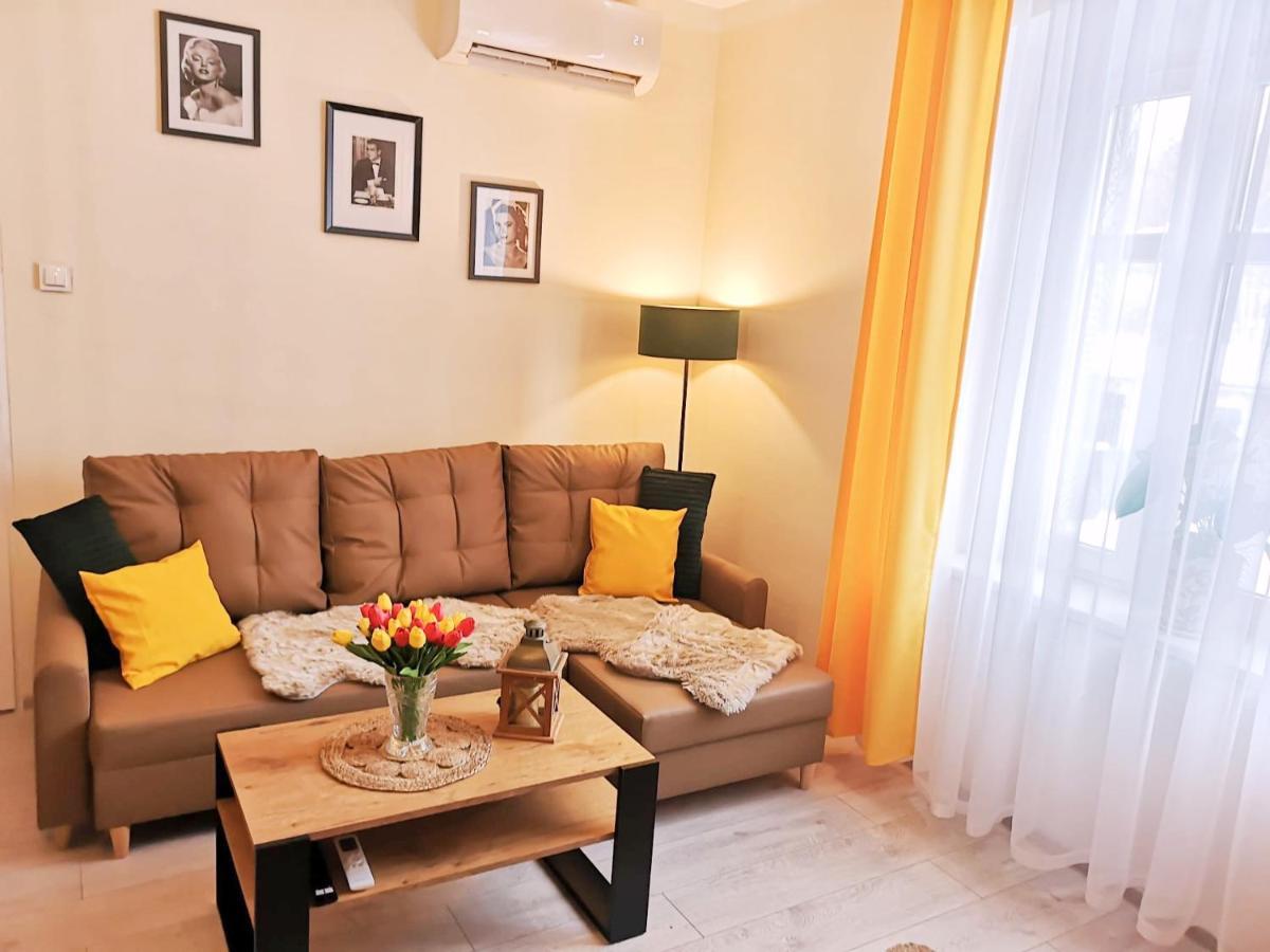 Apartament Celebrity Διαμέρισμα Leśna Εξωτερικό φωτογραφία