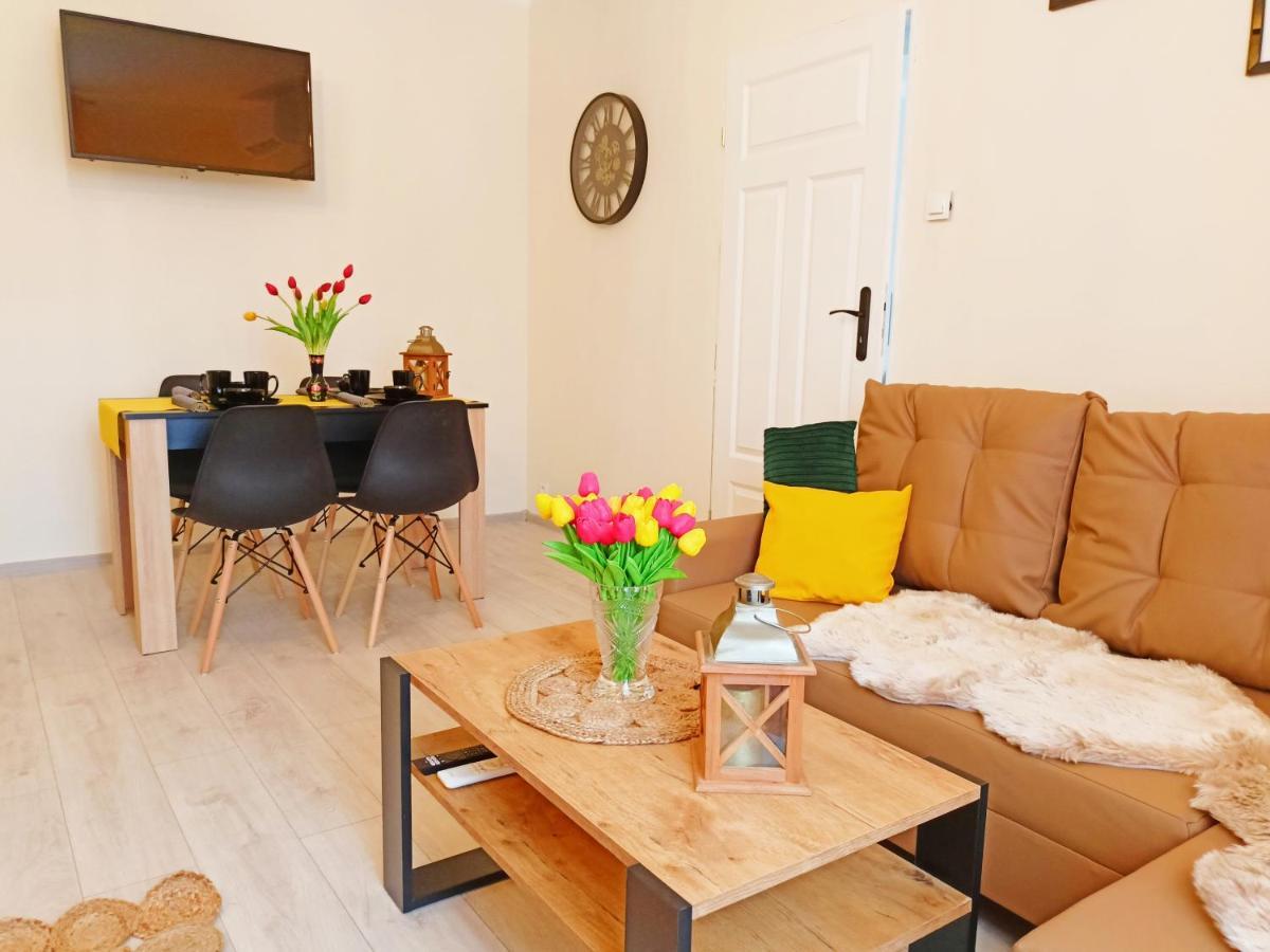 Apartament Celebrity Διαμέρισμα Leśna Εξωτερικό φωτογραφία